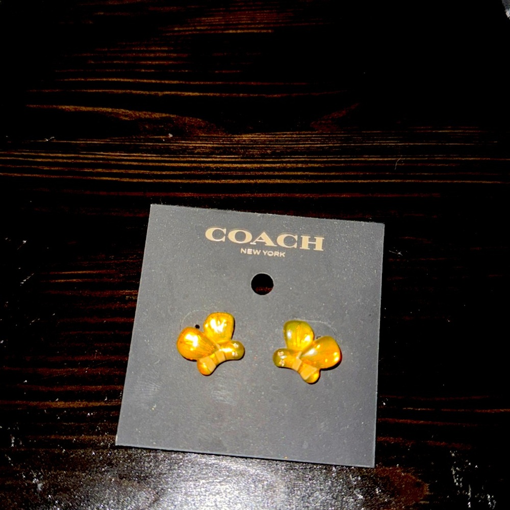 Original coach earings